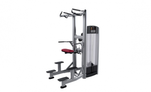 LifeFitness/力健 FZADC辅助式引体向上